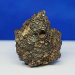 MÉTÉORITE RARE CR2 - Chondrite carbonée - ERG CHECH 003, Verzamelen, Mineralen en Fossielen