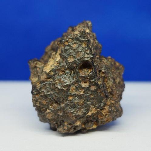 MÉTÉORITE RARE CR2 - Chondrite carbonée - ERG CHECH 003, Verzamelen, Mineralen en Fossielen