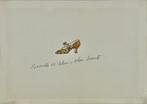 Andy Warhol (1928-1987) - Beauty is shoe, shoe beauty...(À
