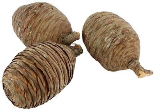 Dennenappels Cedar Cone Dichte Naturel 3 stuks, Huis en Inrichting, Woonaccessoires | Kunstplanten en Kunstbloemen, Nieuw