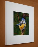 Giovanni Parlato (1957) - Cinciarella