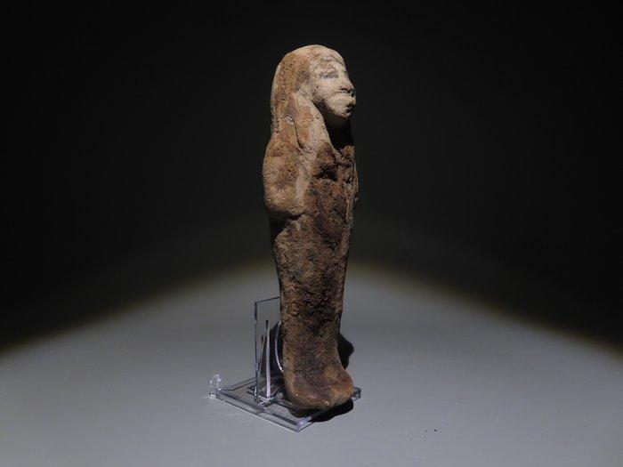 Oud-Egyptisch Terracotta Ushabti. Nieuwe Koninkrijk, 19e -, Verzamelen, Mineralen en Fossielen
