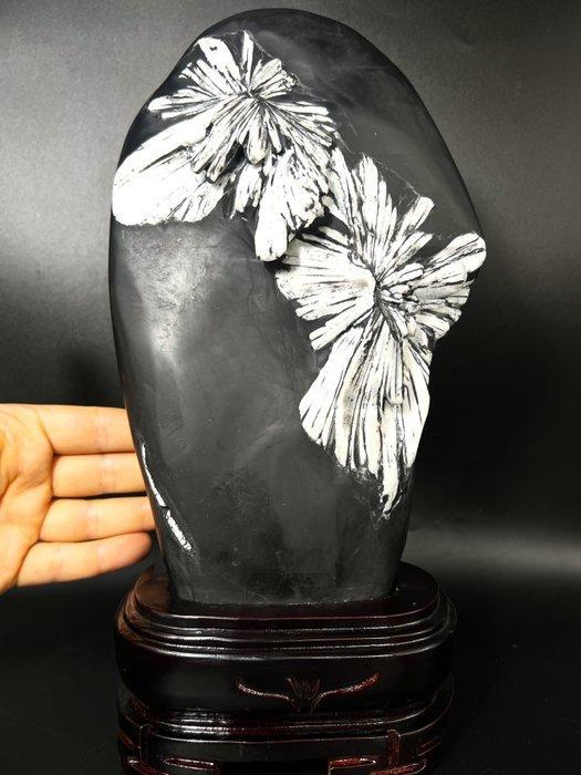 Natuurlijke chrysantemum kristalbloem – zeldzame grote bloem, Verzamelen, Mineralen en Fossielen