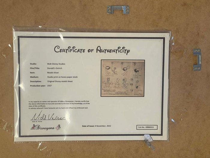 Disney - Disney Donald Duck Model Sheet - Donalds Ostrich, Verzamelen, Disney