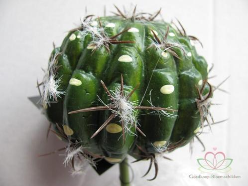 SMALL BALL CACTUS GREEN Zijde- Latex Cactus, Huis en Inrichting, Woonaccessoires | Kunstplanten en Kunstbloemen, Nieuw