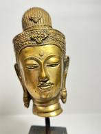 testa di Buddha in Ottone - sculptuur - Thailand (Zonder