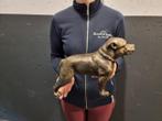 Grote ijzeren Stafford-hond - Beeld 4,8 kg - IJzer