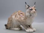 Royal Copenhagen - Peter Herold - Figure - Lynx - Porcelaine, Antiek en Kunst
