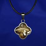 100% doorzichtige Pallasite hanger. De beste kwaliteit!