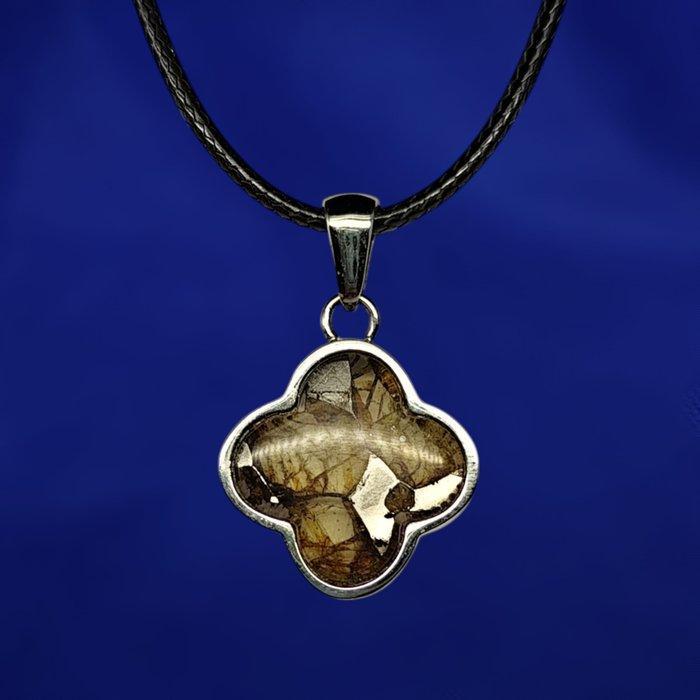 100% doorzichtige Pallasite hanger. De beste kwaliteit!, Verzamelen, Mineralen en Fossielen