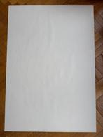 Décoration murale - Hergé - Tintin au Congo - Lithographie, Boeken, Nieuw