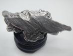 Belle météorite - Champ du Ciel en Argentine - 37.8 g