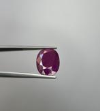 Zonder Minimumprijs Rood Robijn - 12.71 ct - Lotus Gemology, Nieuw