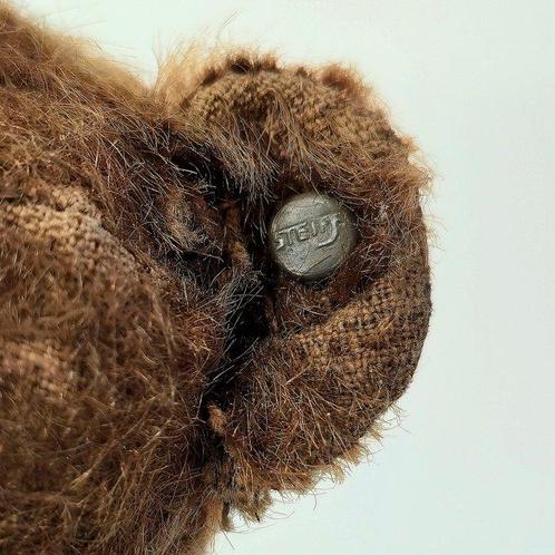 Steiff - Ours en peluche - Allemagne, Antiek en Kunst, Antiek | Speelgoed