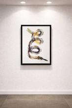 Santicri - Dèjà-vu, la Gioconda