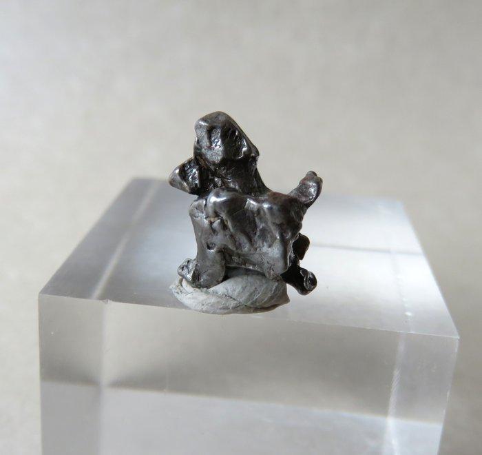 Campo del Cielo meteorite IJzer meteoriet - 93.3 g - (48), Collections, Minéraux & Fossiles