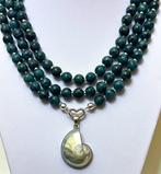 Natuurlijke blauwe nefriet met zuidelijke zee schelp / 1115