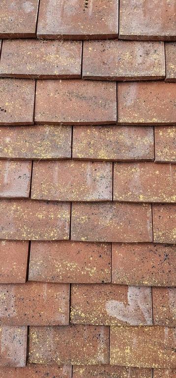 Mooi lot Edilians dakpannen 20x30 Alezane – 7000 stuks beschikbaar voor biedingen