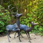 Pair of very large brass okimono modelled like a stag & doe