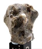 Touat 008, météorite de breccia fondue lunaire