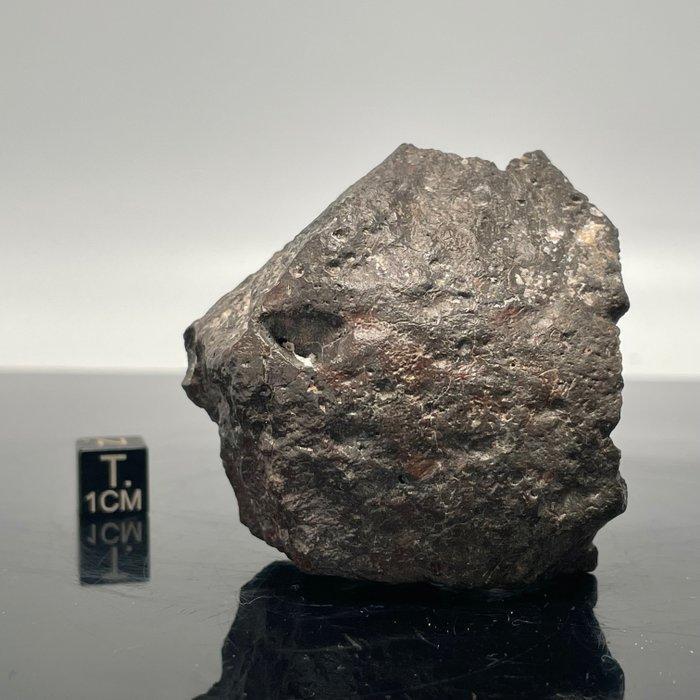 Nieuwe Maan Meteoorsteen, OUARGLA 004 XXL!!! Lunar met, Verzamelen, Mineralen en Fossielen