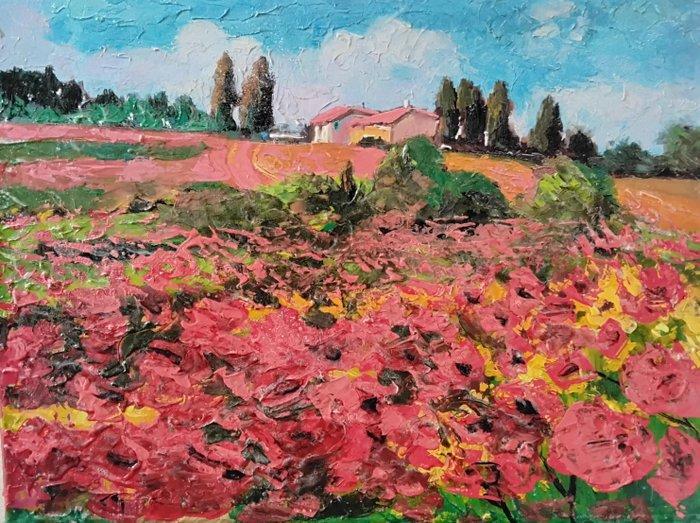 Bartolo Gentiluomo (1973) - Collina con papaveri, Antiek en Kunst, Kunst | Schilderijen | Klassiek