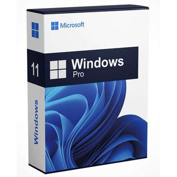 Microsoft Windows 11 Pro - Direct installeren - Digitaal