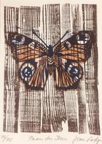 Jean Lodge (1941) - RESURRECTION, Papillon, Butterfly