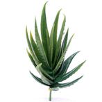 13cm. ARTIFICIAL SUCCULENT GREEN 868692 Succulent, Nieuw
