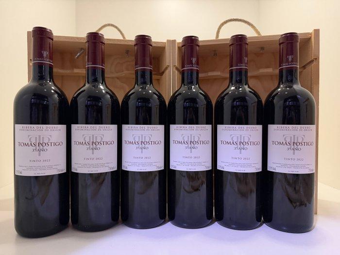 2022 Tomás Postigo 3° Año Tinto - Ribera del Duero - 6, Verzamelen, Wijnen