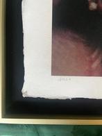 Wladyslav Wilhelm - 11221