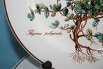 Villeroy & Boch - Botanica - Assiette de petit-déjeuner (6)