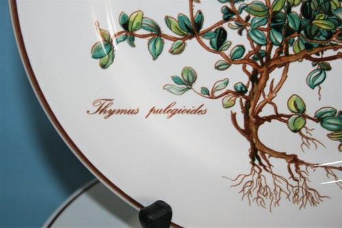 Villeroy & Boch - Botanica - Assiette de petit-déjeuner (6), Antiek en Kunst, Antiek | Meubels | Tafels