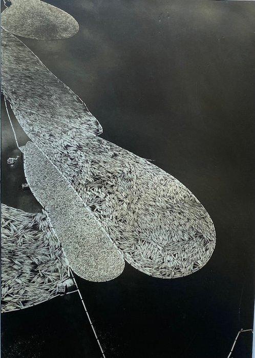 Margaret Bourke-White - Log Rafts, Antiek en Kunst, Kunst | Schilderijen | Modern