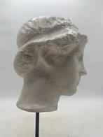 Sculpture, Testa di Atena - 33 cm - poudre de marbre