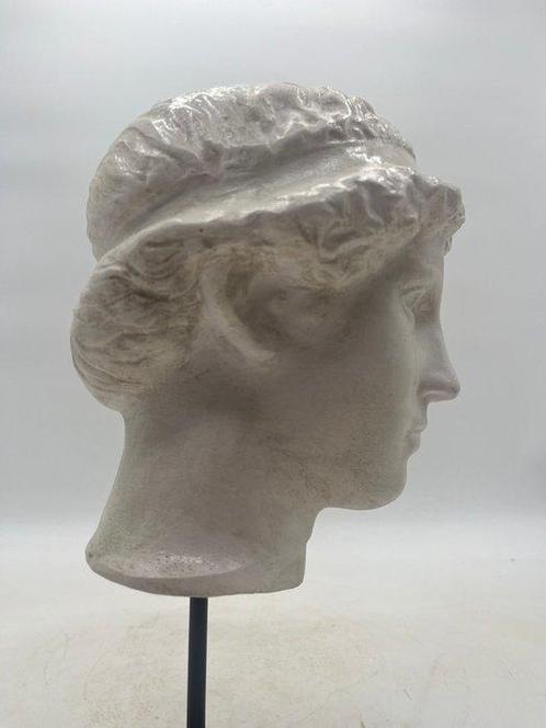 Sculpture, Testa di Atena - 33 cm - poudre de marbre, Antiek en Kunst, Antiek | Keramiek en Aardewerk