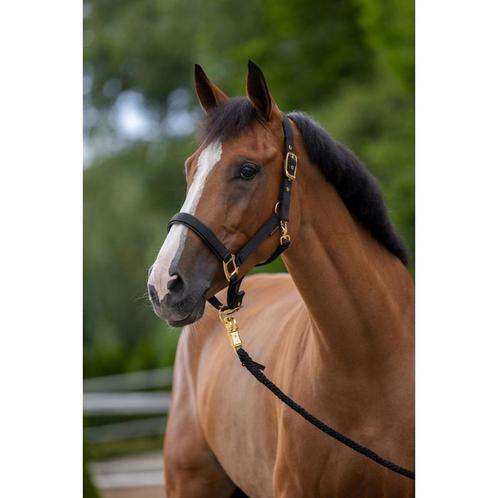 Licol topline - black - pony - kerbl, Dieren en Toebehoren, Paarden en Pony's | Overige Paardenspullen