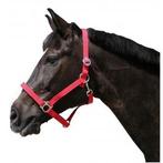 Licol nylon classic rouge taille 5, Animaux & Accessoires