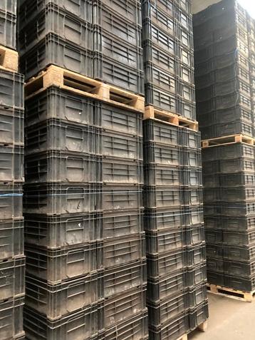 bollenkratten teeltkratten 60x40x24 cm plastic kisten beschikbaar voor biedingen