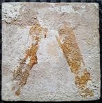 Tegel - Antieke Delftsblauwe tegel met vaandeldrager. -