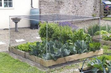 NIEUW - Moestuin groentekooi 120 x 120 cm