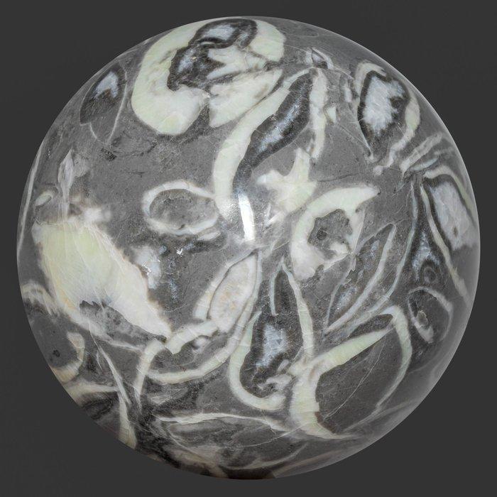 Shell steen Fijn kwaliteit schelpkalk bal - Hoogte: 14 cm -, Verzamelen, Mineralen en Fossielen