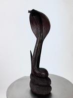 sculptuur, Copra scolpito il legno - 40 cm - Hout