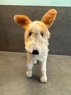 Steiff - Speelgoed Foxterrier - 1930-1940 - Duitsland