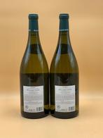 2023 Domaine William Fèvre - Chablis - 2 Magnums (1.5L), Verzamelen, Nieuw