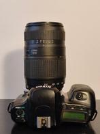 Nikon, Minolta 5000 AF & F80 35mm SLRs with Zoom Lenses –, Nieuw