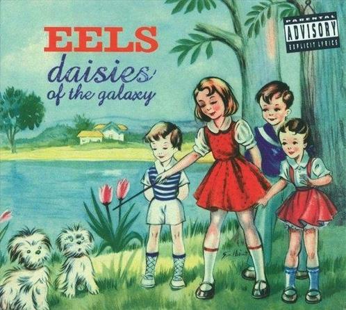 EELS - Daisies Of The Galaxy op Overig, CD & DVD, DVD | Musique & Concerts, Envoi