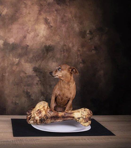 Madison - “Desigual”., Antiquités & Art, Art | Dessins & Photographie