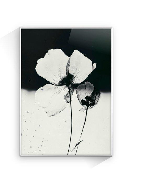Jorge Omeñaca - Flowerink, Antiek en Kunst, Kunst | Designobjecten