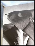 Man Ray - Manifesto, Poster Arte Man Ray - Kala Lilies